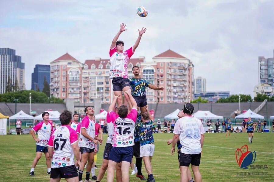 爱游戏在线-全球瞩目！橄榄球赛事即将收官的简单介绍