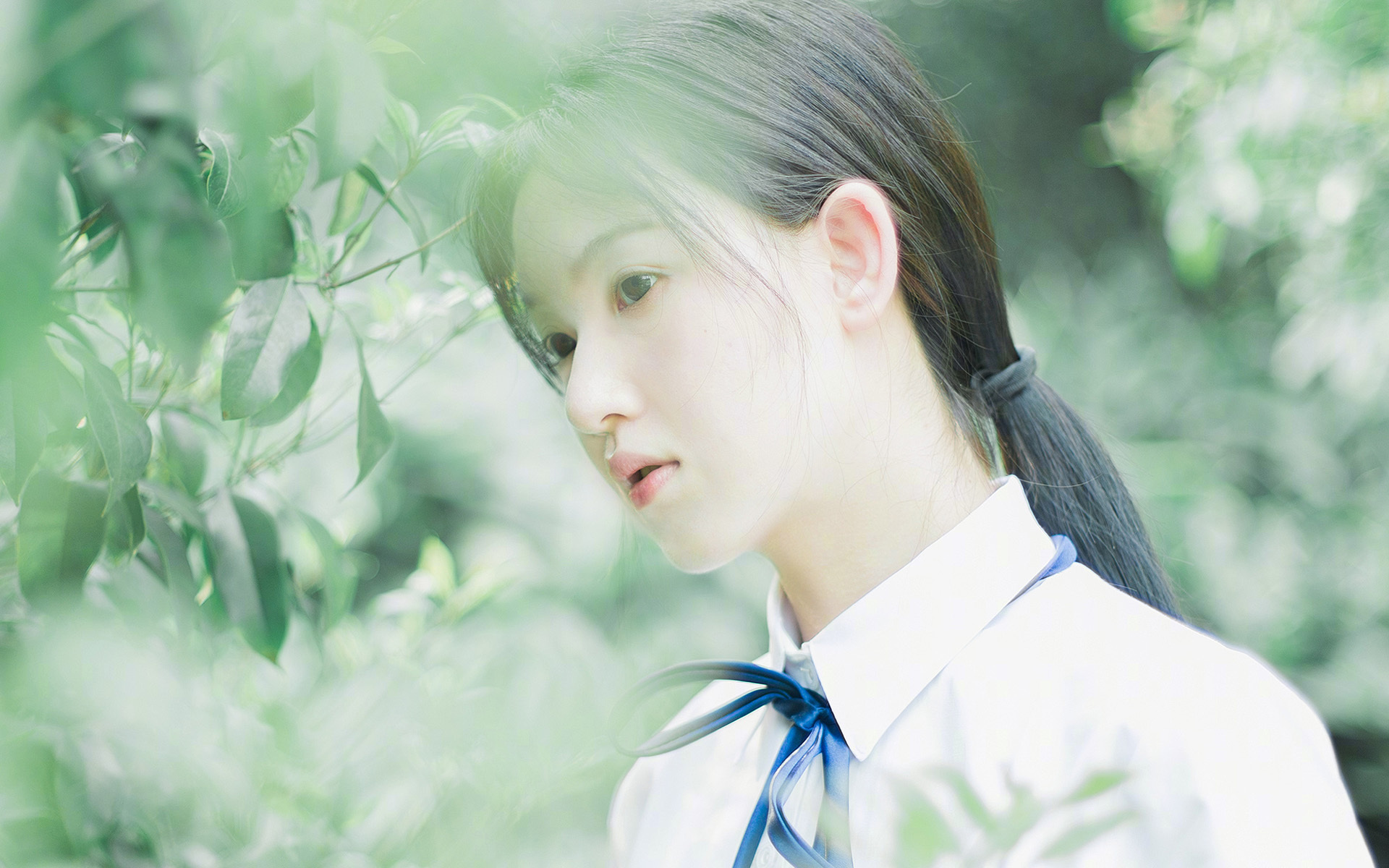 胜利的冰冷与独舞的火焰，当韩国队精密切割丹麦童话，安赛龙点燃孤独圣火