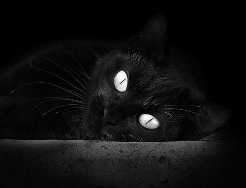 蒙特卡洛，红土风向标已倾斜？兹维列夫的横扫为法网投下巨大悬念