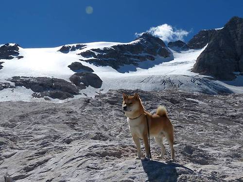 双线告捷，德国队轻取印度队，桃田贤斗刷新羽坛纪录