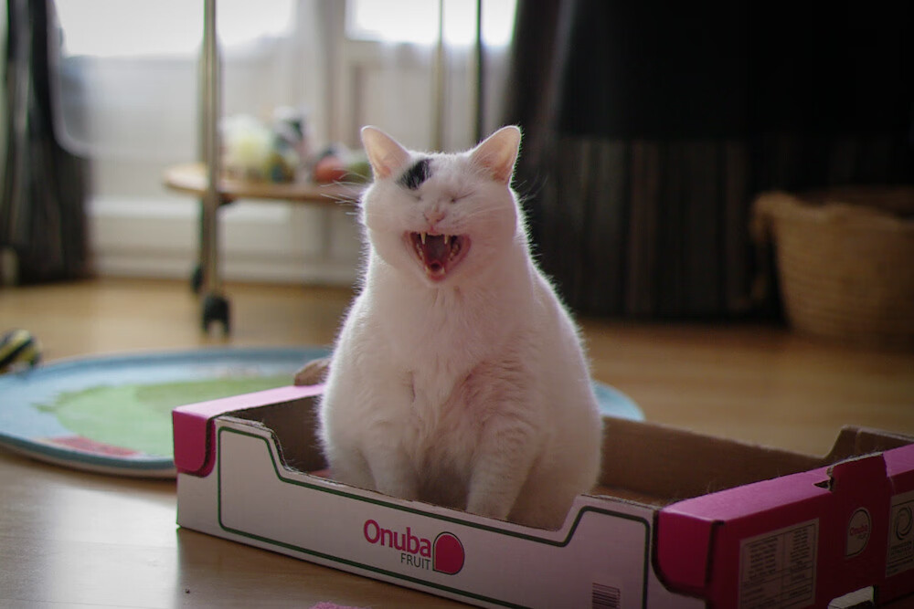 小贾伦成国王克星，魔术师的戏法与火箭的拆迁，一场个人秀与集体碾压