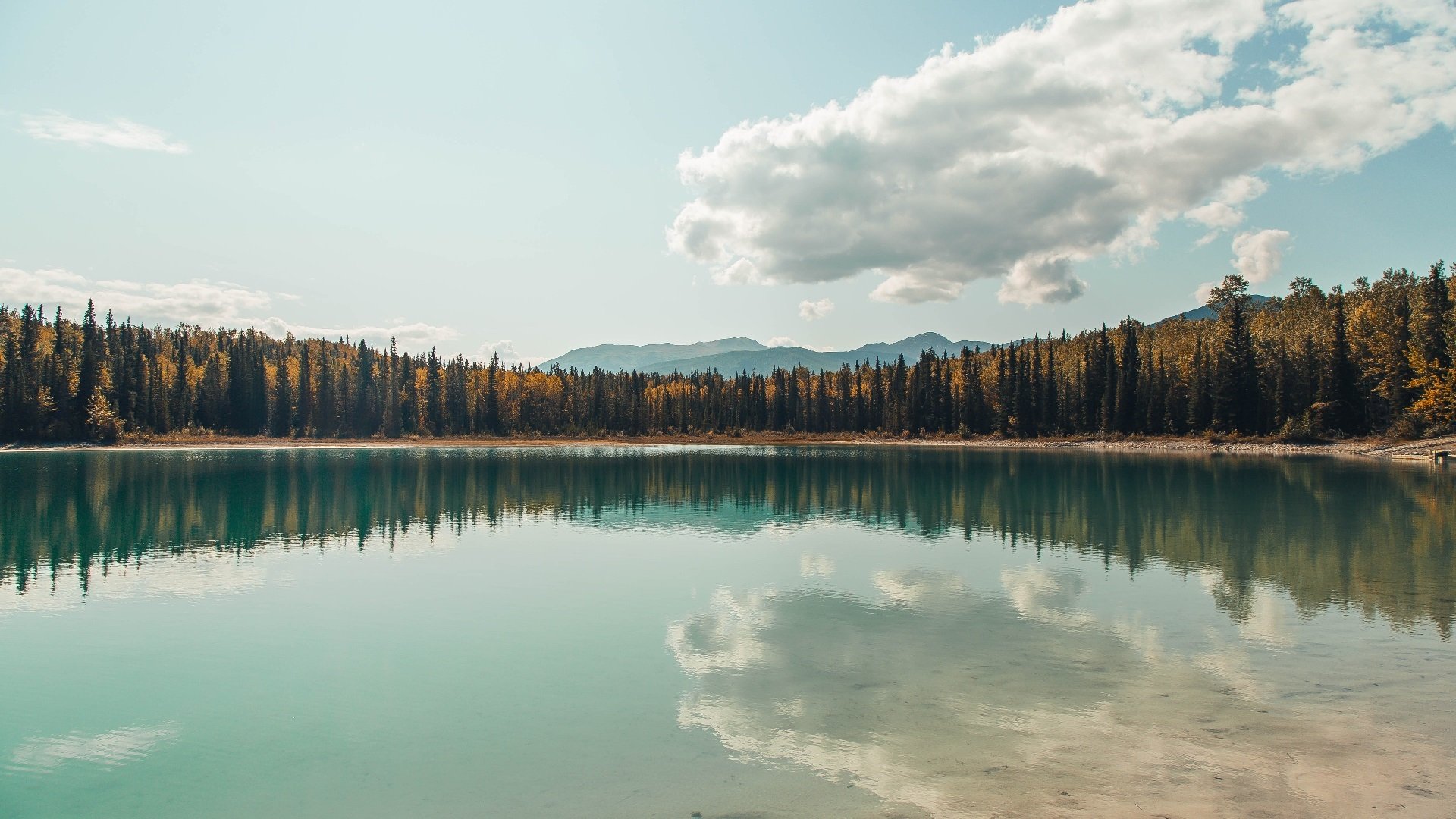破晓伯纳乌，当角斗士掀翻银河战舰，特奥在关键回合从不手软