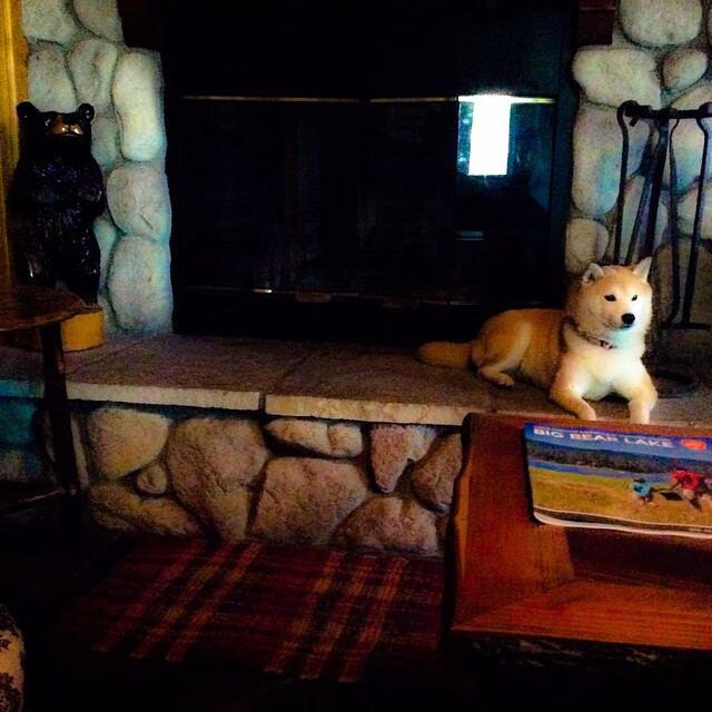 暗面独行，当C罗的奔跑将夜晚镌刻为唯一