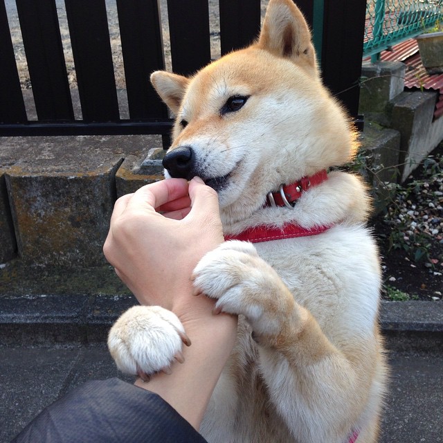 爱游戏体育-字母哥撕裂联防之夜，惊艳四座的个人表演与无解的现实