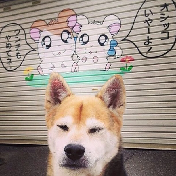 极速心跳与灼热意志，F1揭幕战之夜，布克扛起全队