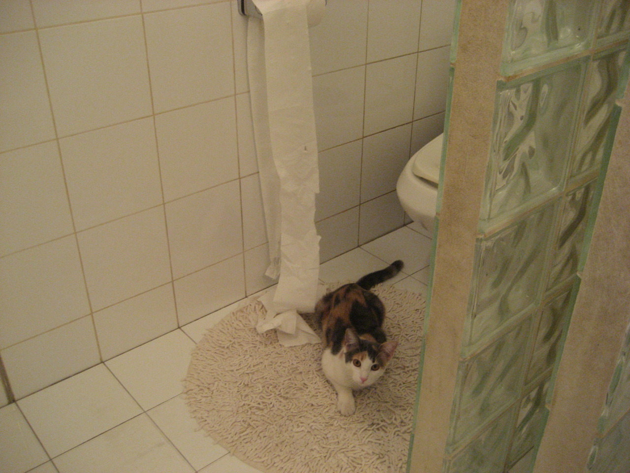 数据之王与无冕之谜，若日尼奥的爆炸性输出如何将新西兰争冠战变成那不勒斯的镜子？