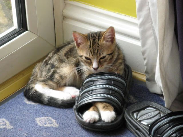 1.卢卡库关键先生引爆天平倾斜，牙买加血拼英格兰憾负背后的战术密码