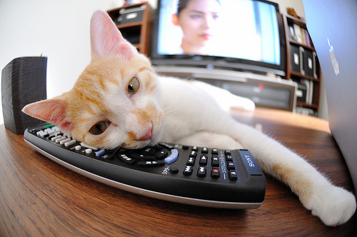 门迪,从地狱到天堂,用双手扼住命运之喉