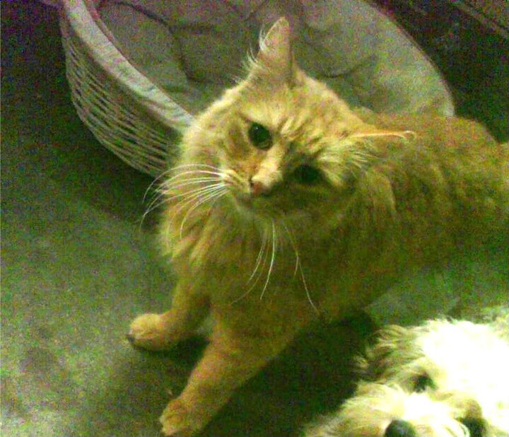 冰封五十七分钟的火山，保罗在最后三分钟点燃辽宁队