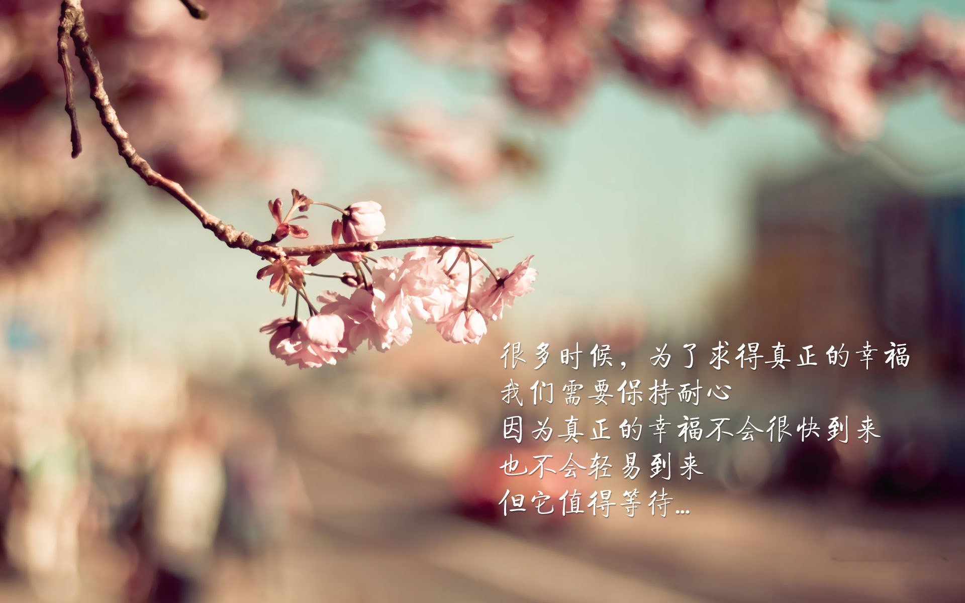 孤星耀世,2026世界杯E组,加纳完胜波兰,巴雷拉完成致命一击—一场改写非洲足球命运的独奏曲
