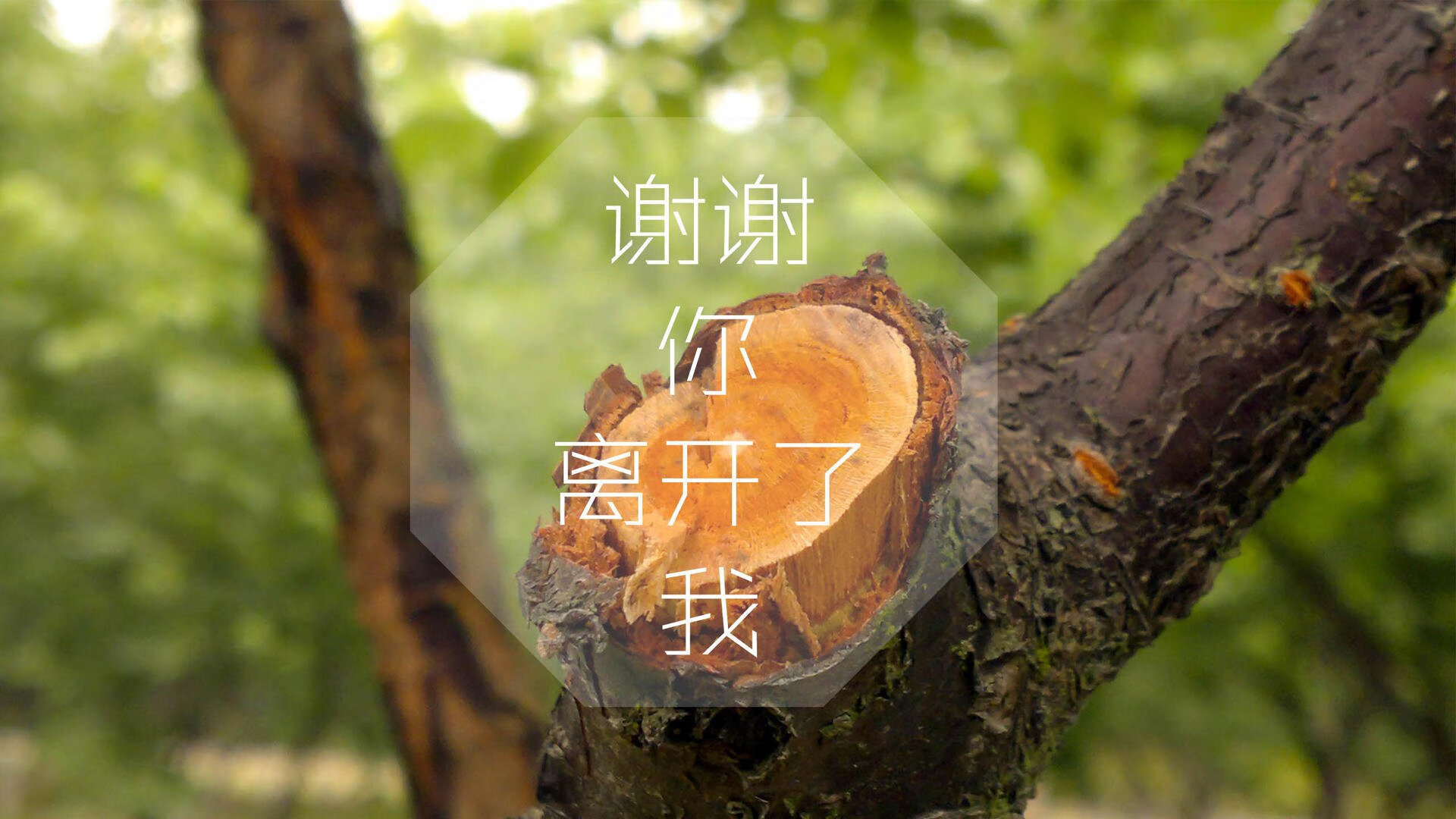 奇迹之夜,2026世界杯G组,印度绝杀挪威,卢卡库完成致命一击